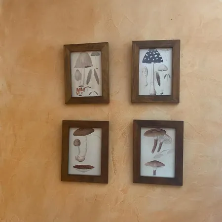 Casa Del Plantel * San Ildefonso